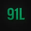 91linsir