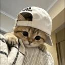 jodha_2211