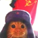 gatosovietico1922 avatar