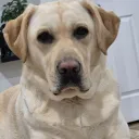 f6hnv6ug_23011 avatar