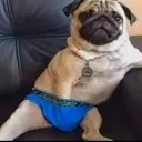 kevin_llaiquen_80594 avatar