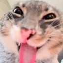 taolatao0355_21224 avatar