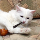 avatar ★ 𝓯𝓾𝓶𝓮 ★