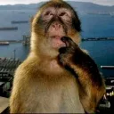 thailand56789