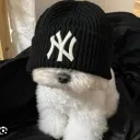 logansito_183_59419 avatar