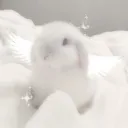 kaziiii1ert