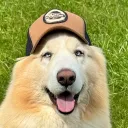 bulldogfc_