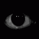 docklock