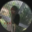 longdickuser