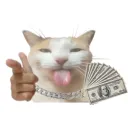 trxpnwow