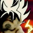 rodrigo_154.4 avatar