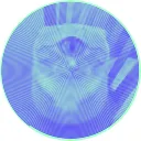 skylight5
