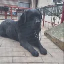 finn022658