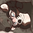 avatar ˒            愛         @zay