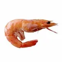 pachatota avatar