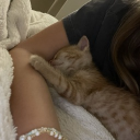 avatar 𝑱𝑼𝑳𝑰𝑨𝑵𝑵𝑨