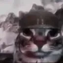 gdfornello