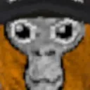 orangesaucevr