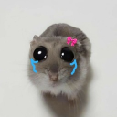 avatar Dani❤️‍🔥