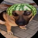pnqg1