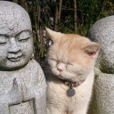 avatar toast . ݁˖ .