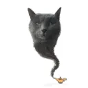 pomidoriumo_82219 avatar