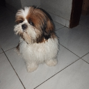 arrozdoce (@darkizinho_lindo)