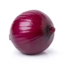 onion_yang_cong
