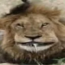 Аватар ponlolkekxeee_78951