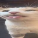 https://cdn.discordapp.com/avatars/1347303558701383883/f88587e591caabed0b80cc9e9b56735c.jpg?size=128