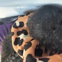 theyheartt.maya avatar