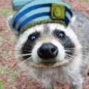 robbiie_ member profile picture
