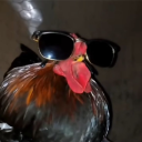 Avatar for Sosig Killa