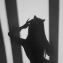 04.54