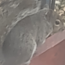 View uwu037065's Profile