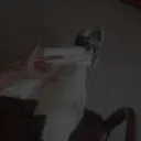 adityoooo