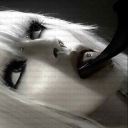 avatar 𒐞𒀼𒈦𒋻𐎠𒐕𒐖