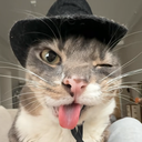 isi_mc