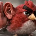 xaviermendoza2008 avatar