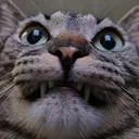 maguravt