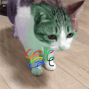 Aircat Donut the 6th