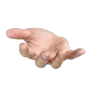 north.dev_
