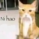 czxal