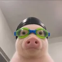 5gv8