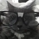 carlitos69_xd avatar