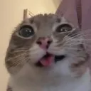 ohmyquack