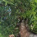 cryomancer0884 avatar