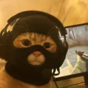 sentinelcmd
