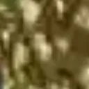 ha02599