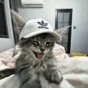 fxxk._.luv